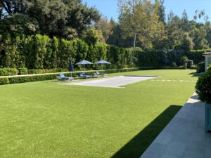 Residential backyard turf