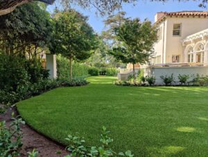 Residential backyard turf with brickwork